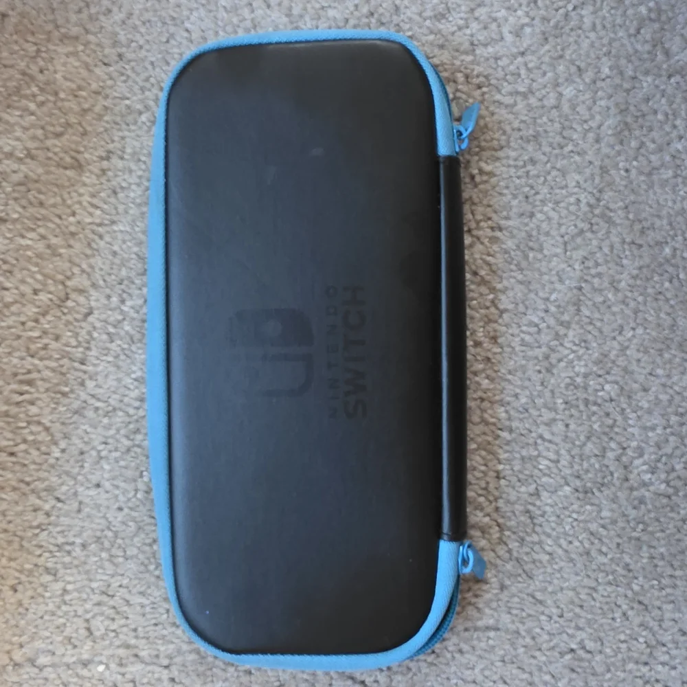 Nintendo Switch Black and Blue Carrying Case